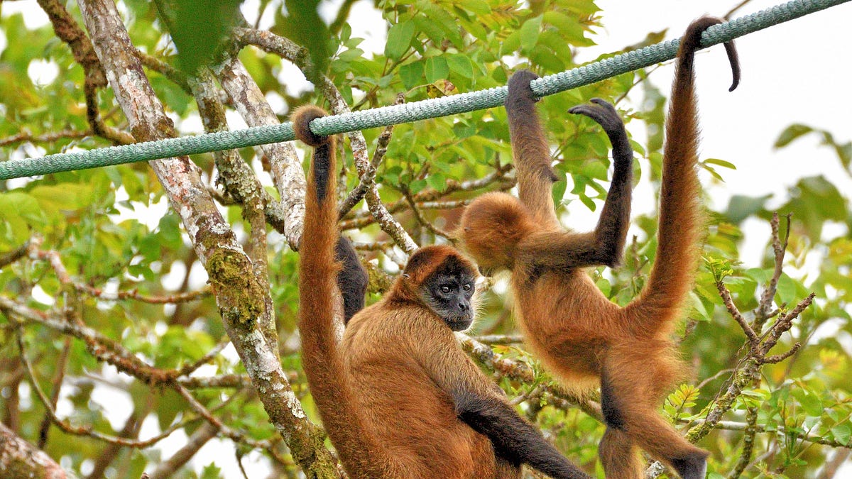 Costa Rica Journey – Part 2