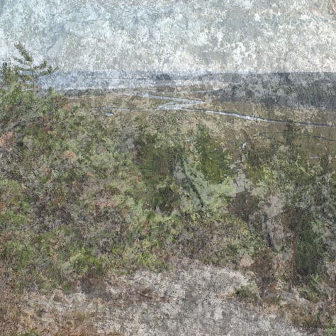 Triptych. Landscapes with water in the background, trees and rocks in the foreground.