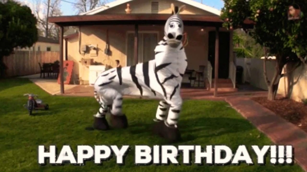 Funny Zebra Happy Birthday Song