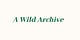 A Wild Archive