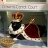 William’s Newsletter