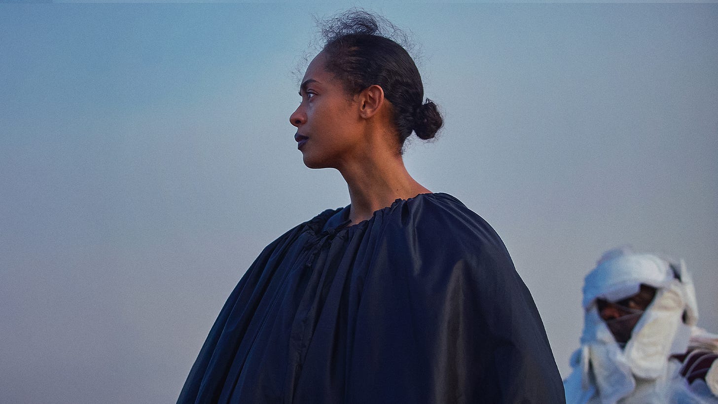 On Becoming a Guinea Fowl | A24