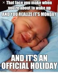 Public Holidays or Weekends?