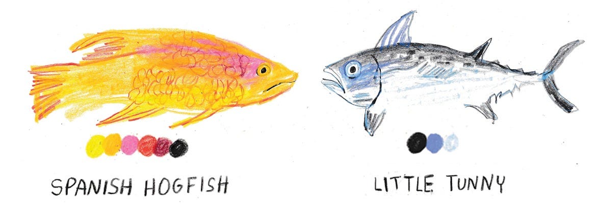 Fish illustrated by Beth Spencer Fish illustrated by Beth Spencer