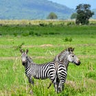 Are you ready to question your first impression?