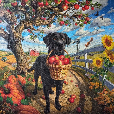 My Collection of Ceaco Puzzles