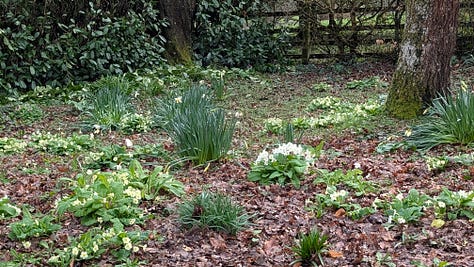 Photos of the Devon landscape