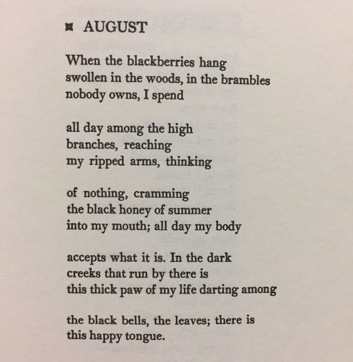 When the blackberries hang swollen in the woods, in the brambles nobody owns, I spend all day among the high branches, reaching my ripped arms, thinking of nothing, cramming the black honey of summer into my mouth; all day my body accepts what it is. In the dark creeks that run by there is this thick paw of my life darting among the black bells, the leaves; there is this happy tongue. When the blackberries hang swollen in the woods, in the brambles nobody owns, I spend all day among the high branches, reaching my ripped arms, thinking of nothing, cramming the black honey of summer into my mouth; all day my body accepts what it is. In the dark creeks that run by there is this thick paw of my life darting among the black bells, the leaves; there is this happy tongue.