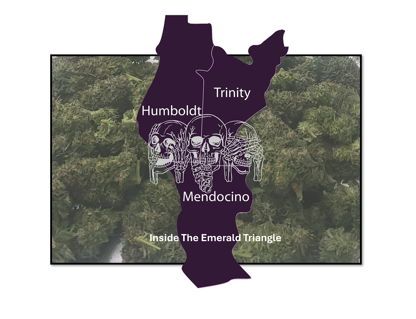 The Emerald Triangle named them trimmigrants. They came from all over the world and flooded the area for a chance to trim weed for a Legacy Farmer in the Emerald Triangle. Then the bottom fell out of the cannabis market and human trafficking took over... The Emerald Triangle named them trimmigrants. They came from all over the world and flooded the area for a chance to trim weed for a Legacy Farmer in the Emerald Triangle. Then the bottom fell out of the cannabis market and human trafficking took over...