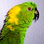 vernonbird's avatar