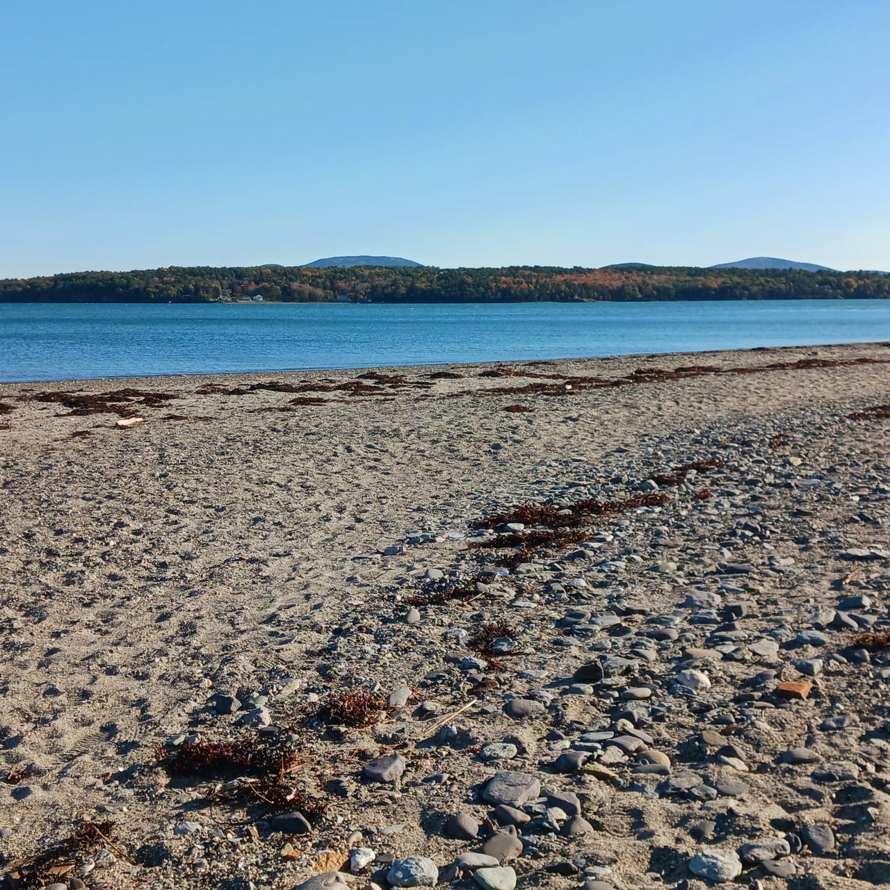 Jill Eng: The Writer's Plight