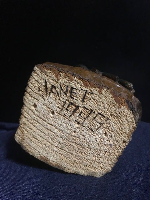 Janet Wolfinger 1998