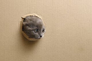 iStock-1746481356-1536x1024