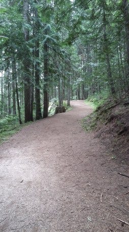 Old Road Old Road