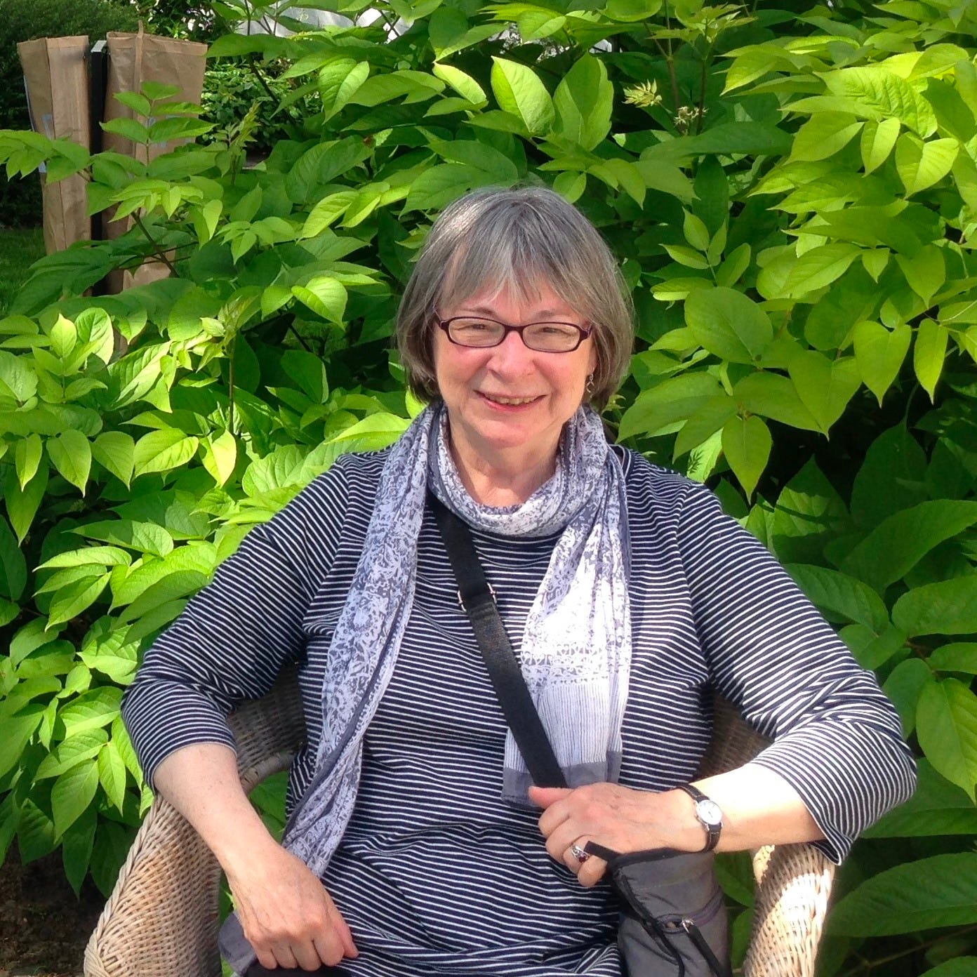 Susan Strawn | Substack