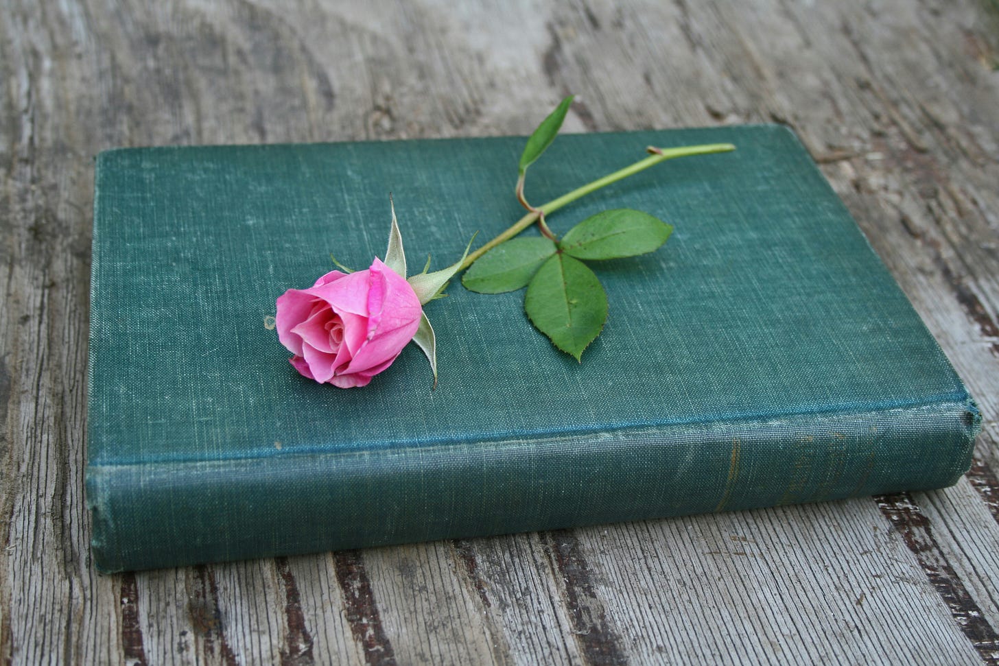 A photograph of a worn green book on a wooden table. A long-stemmed pink rose sits on top of the closed book. A photograph of a worn green book on a wooden table. A long-stemmed pink rose sits on top of the closed book.