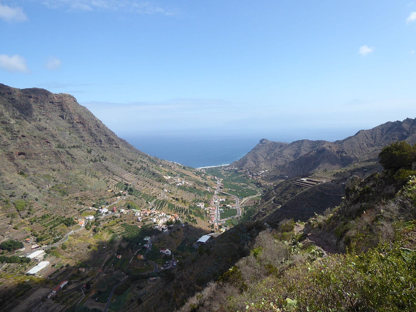 The fragile forests of La Gomera