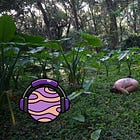 Wild women of nature