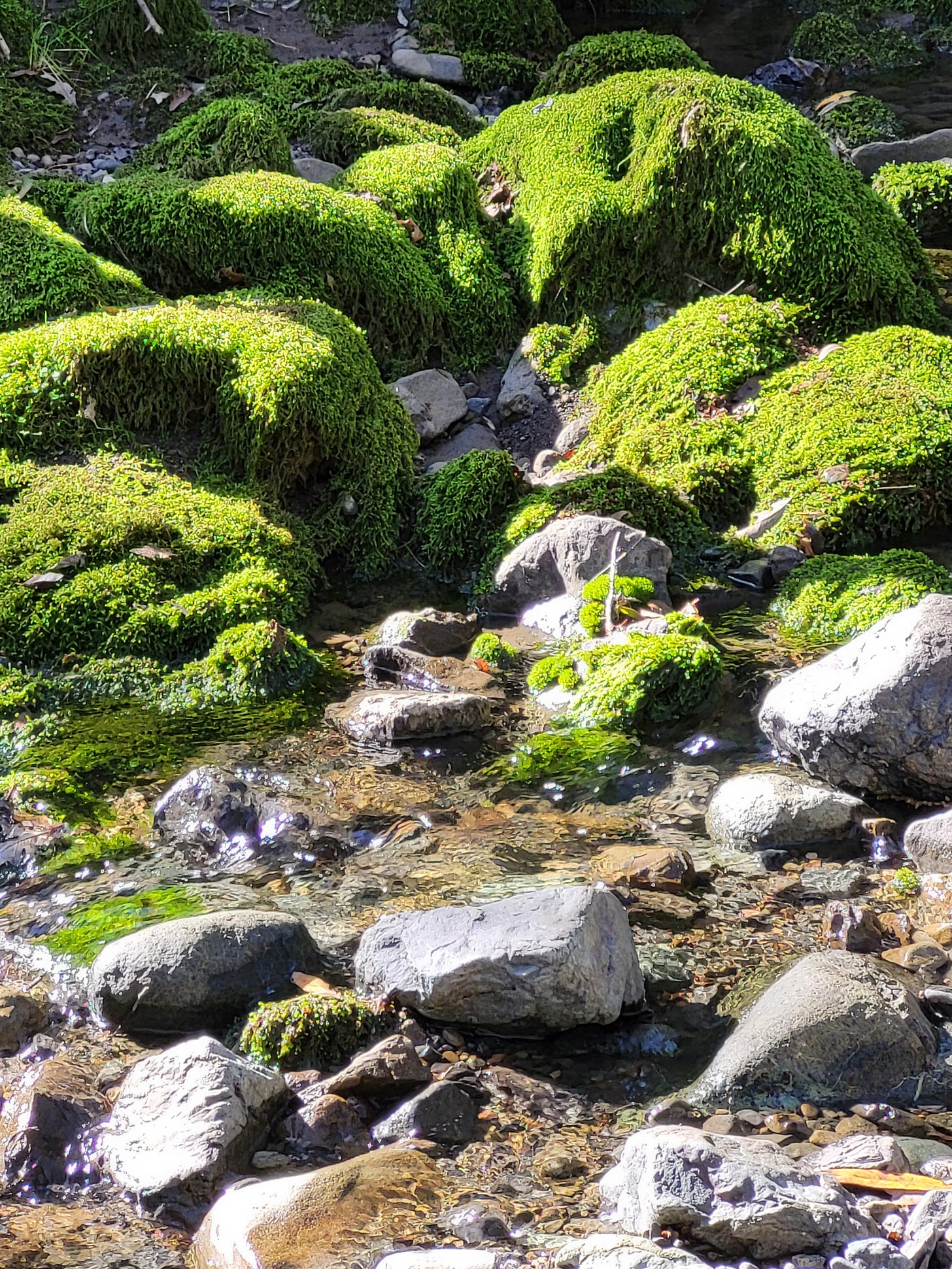 ¿Qué Debo Hacer REALMENTE Para Obtener la Vida Eterna?