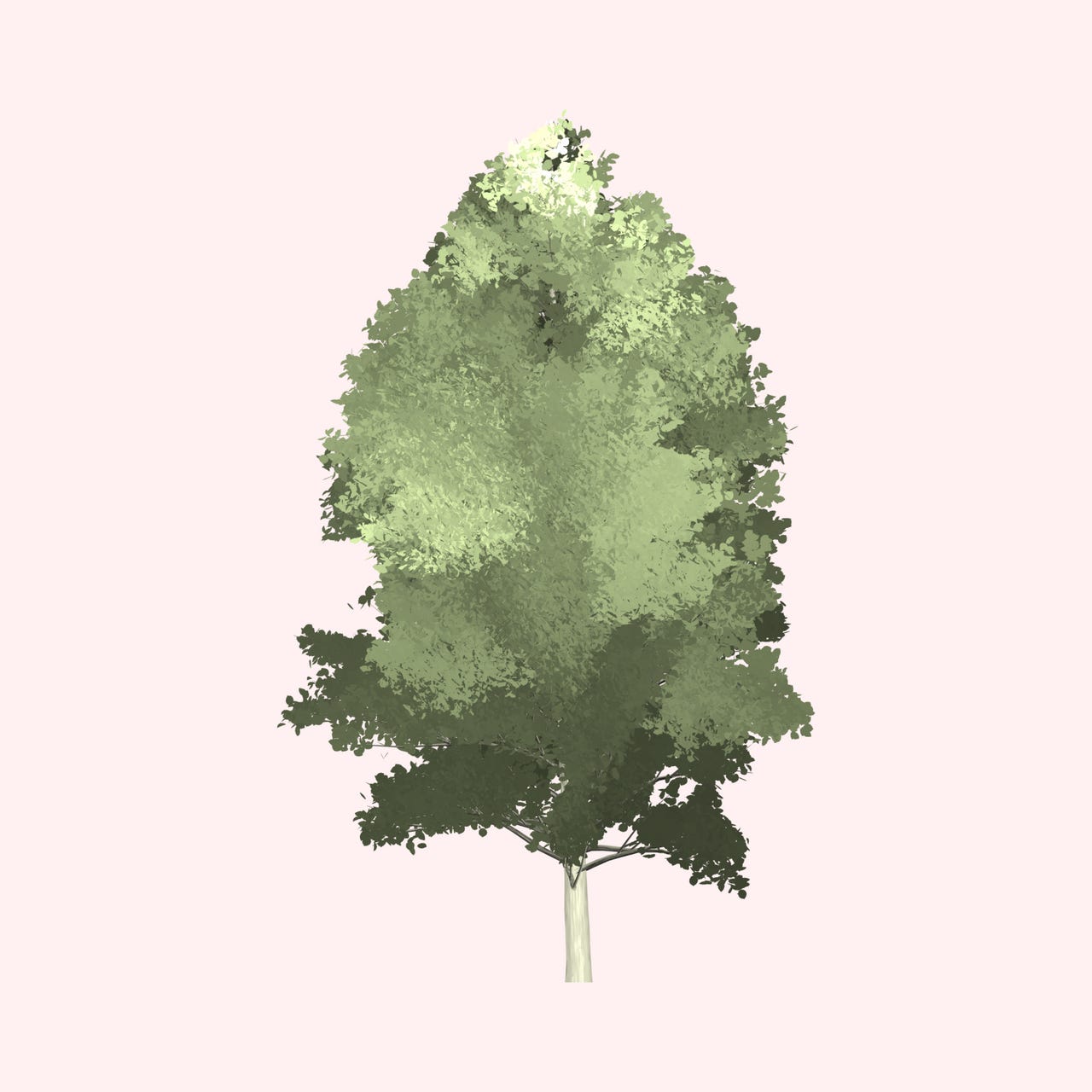 A Journey of Growth logo