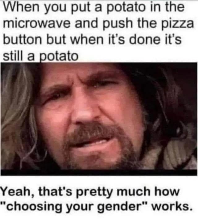 May be an image of 1 person and text that says 'When you put a potato in the microwave and push the pizza button but when it's done it's still a potato Yeah, that's pretty much how "choosing your gender" works.'