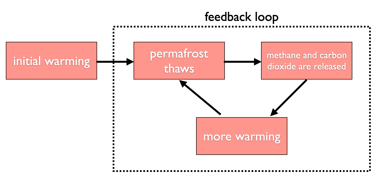 Fire Feedback Loop A truly worst-case climate scenario: Losing control of the carbon cycle