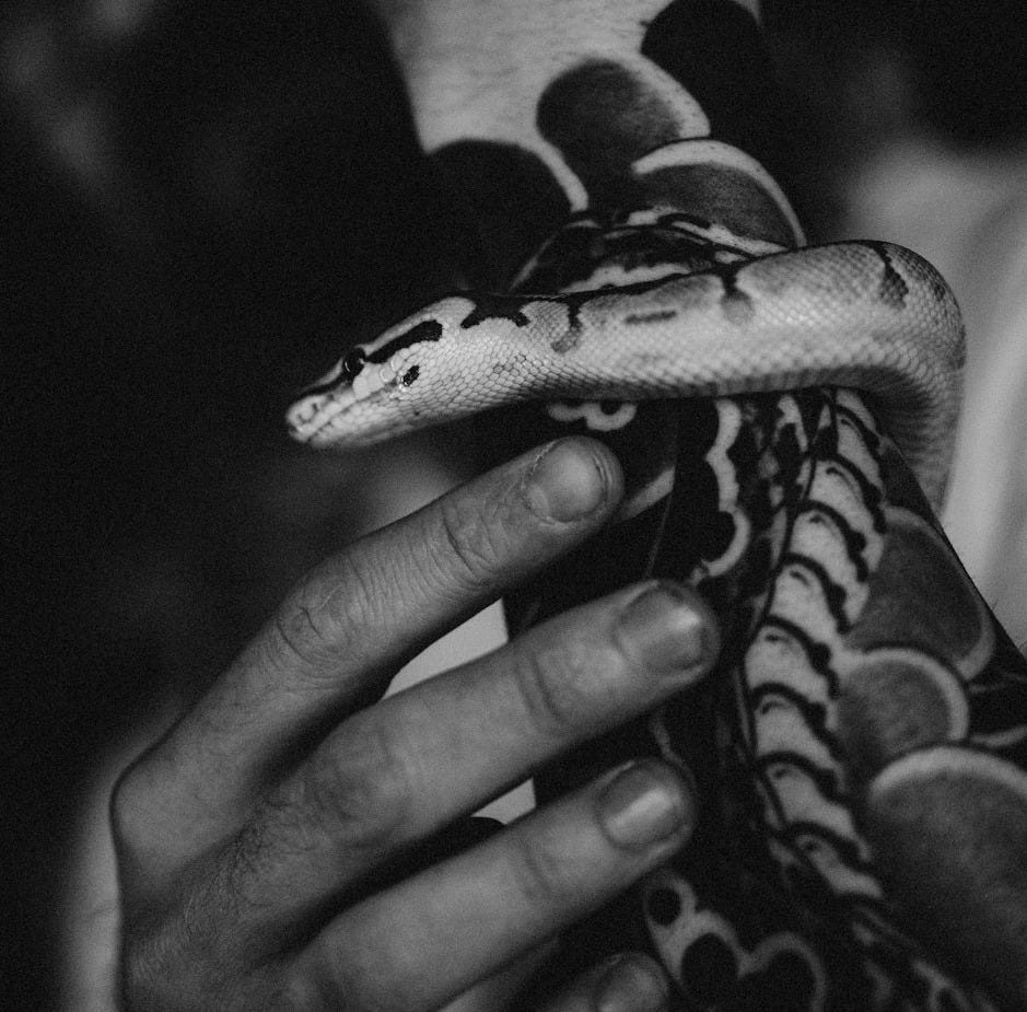 a black and white photo of a person holding a snake
