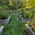 One Of Those Days I Make This a Gardening Newsletter 