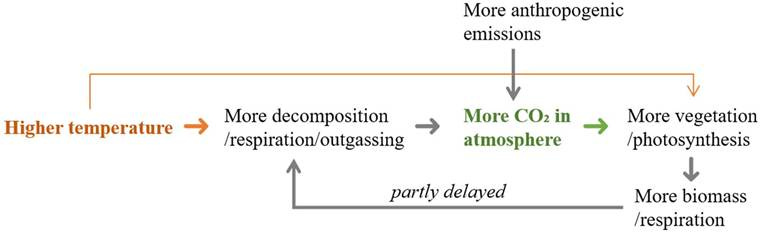A diagram of a process

AI-generated content may be incorrect.