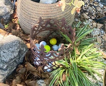Jill Anderson's front yard. (JOE CAPOZZI)