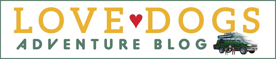 Love Dogs Adventure Blog