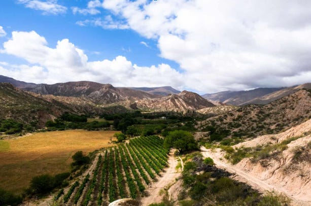 Wine from the road at the end of the world...