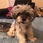 Paula K's avatar