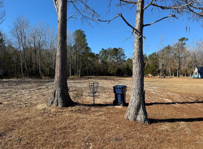 A disc golf basket and blue trash bin are positioned between two large trees on a dry grassy field, with forest in the background and a clear blue sky overhead. A disc golf basket and blue trash bin are positioned between two large trees on a dry grassy field, with forest in the background and a clear blue sky overhead.