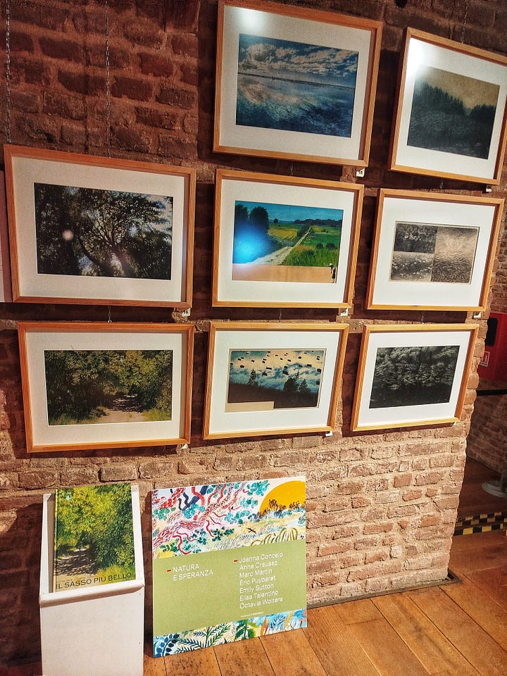 Opere di Joanna Concejo e Silvia Molteni in esposizione - Tutte le fotografie sono state realizzate da Jessica Paolillo.