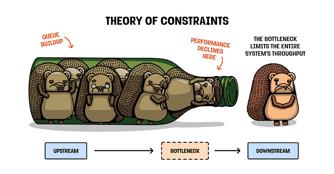 no hedgehogs were harmed in the making of this image