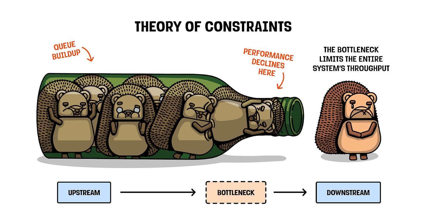 no hedgehogs were harmed in the making of this image