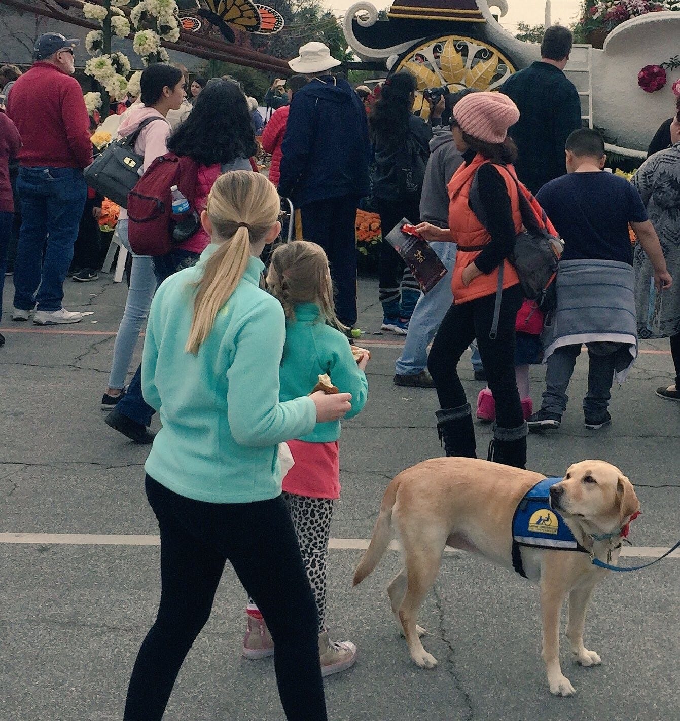 Kit's daughters are standing next to each other with their backs turned to the camera. They are at an outdoor event. Flo is standing to their right, wearing her yellow and blue Canine Companions vest. She is turning her head so she can keep her eyes on the girls. Kit's daughters are standing next to each other with their backs turned to the camera. They are at an outdoor event. Flo is standing to their right, wearing her yellow and blue Canine Companions vest. She is turning her head so she can keep her eyes on the girls.
