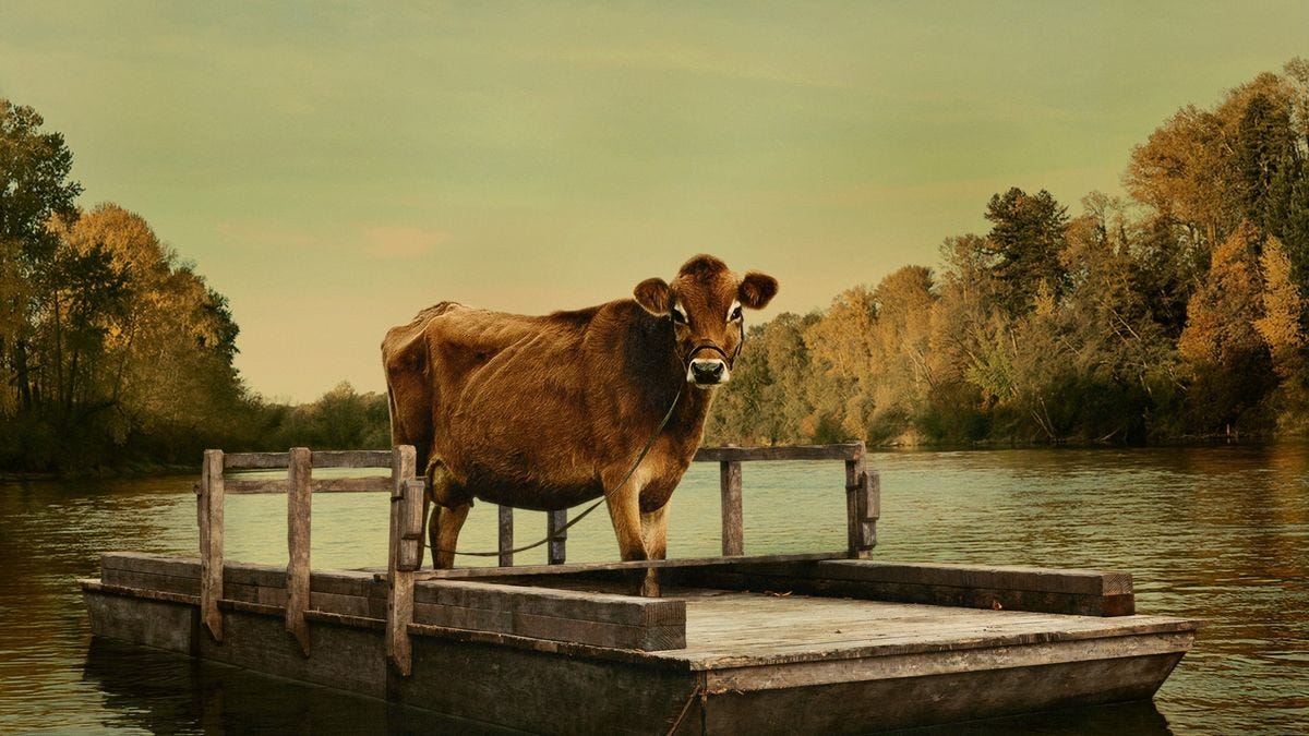 First Cow - Film (2019) - SensCritique
