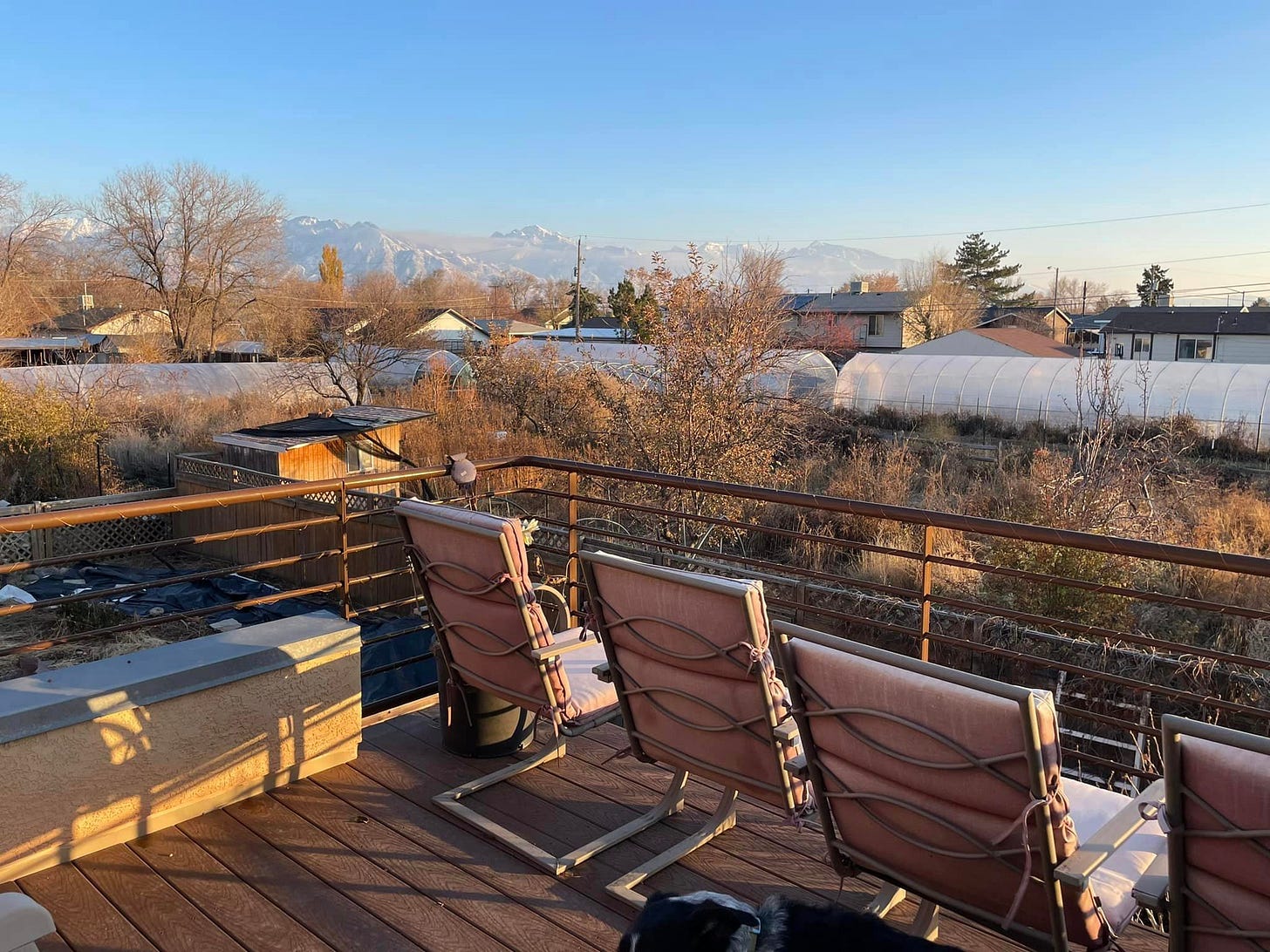 No photo description available.