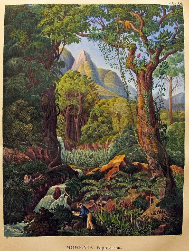 This may contain: a painting of some people in the jungle