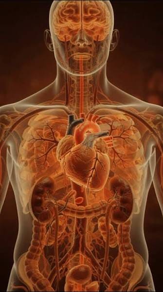 High blood pressure damages organs slowly until a sudden rupture changes  everything , High blood pressure places constant strain on blood vessels  throughout the body. With every heartbeat, blood ...