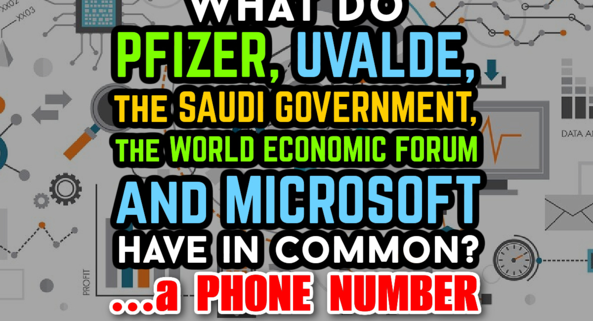 Wanna See Something Crazy? The Covid-19 Crisis Phone Number 🤔a Tangled Web of F*ckery