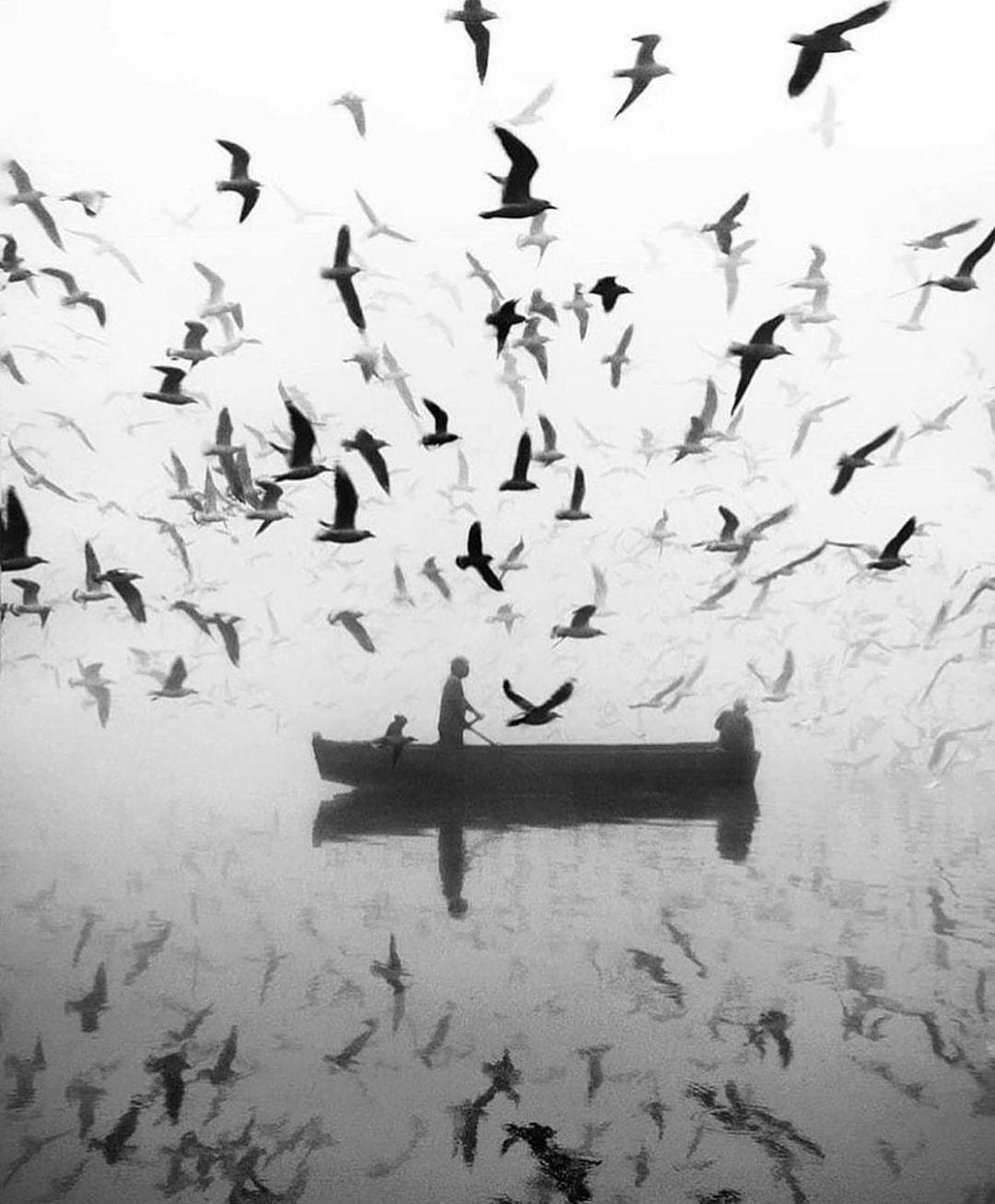 An Instagram  post added by cosmos on Oct 11, 2023. The author is @strike.art. May present: yamuna ghat, bird, water, organism, beak.