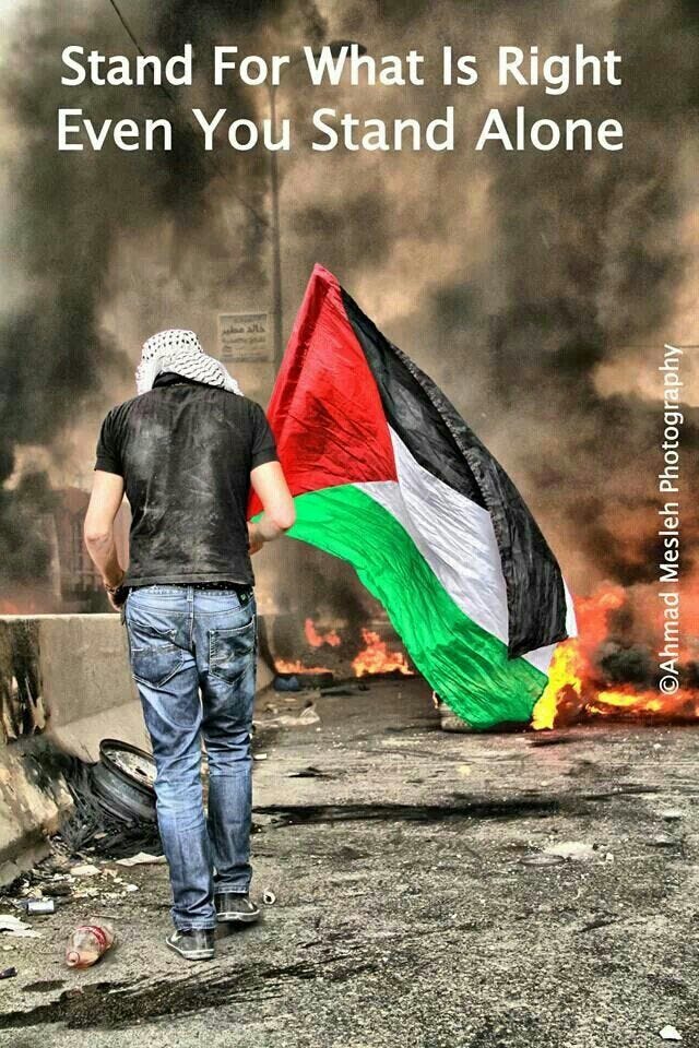 I stand with Palestine 🇵🇸 #FreePalastine 🇵🇸