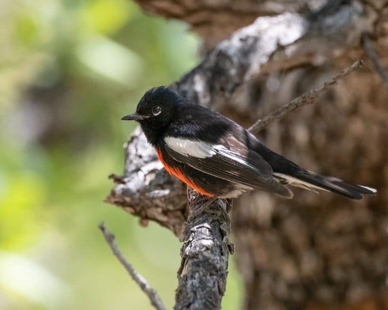 20250521-MillerCanyon-31-Edit.jpg 20250521-MillerCanyon-31-Edit.jpg