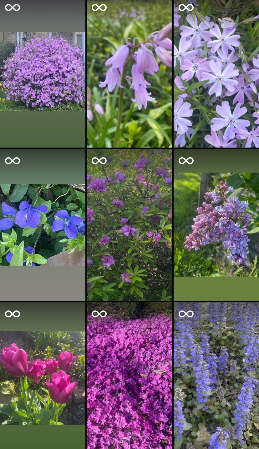 a grid with 9 different purple flowers