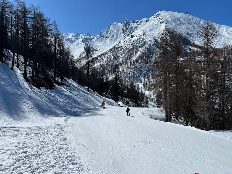 A sunny mountain scene with skiers descending a snow-covered slope surrounded by tall, bare trees. In the background, rugged peaks rise steeply, covered in bright white snow against a clear blue sky.