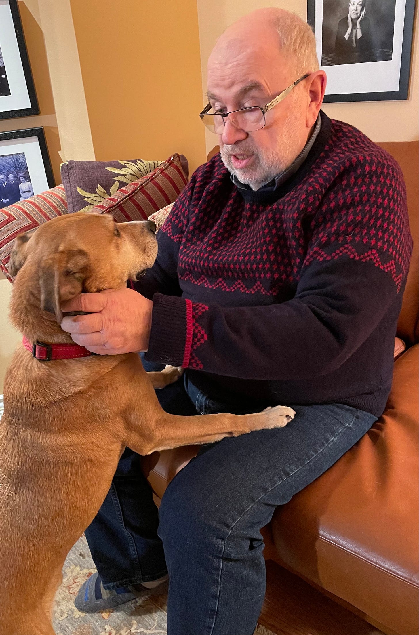 A bald man with glasses playing with a short-haired ginger dog.