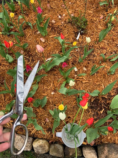 Behind the scenes April 2020